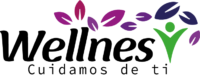 wellnescolombia.com